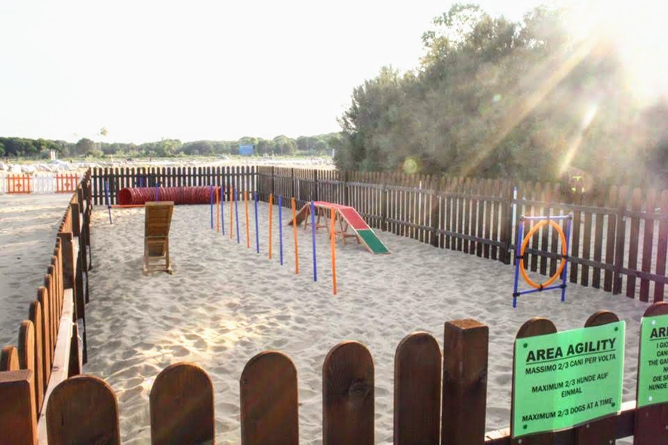 Area-agility-spiaggia-di-duke-per-cani-mare-lignano-friuli-1